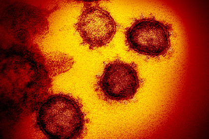 Доказана опасность бессимптомных носителей коронавируса