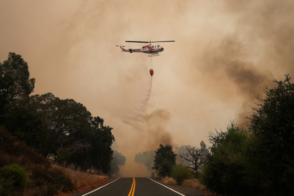   Власти Калифорнии сообщили об увеличении площади лесных пожаров 