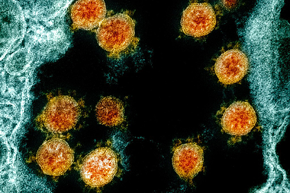 Назван способствующий распространению коронавируса климат