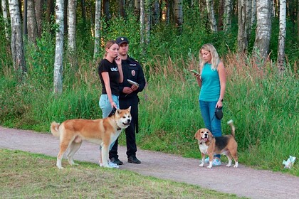Российские чиновники проинспектировали испражнения собак