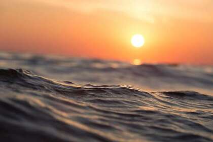 Замечены катастрофические изменения в океанах Земли