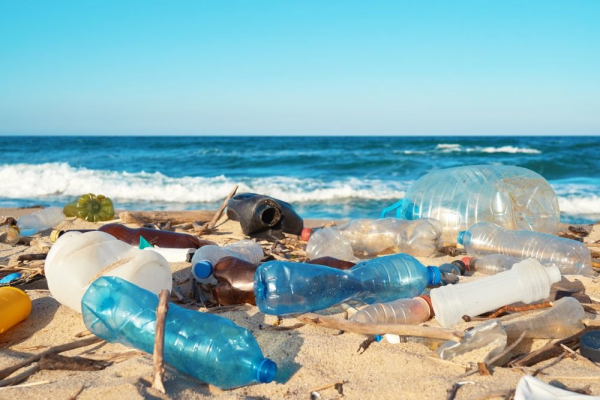   Ученые: На дне океанов находятся миллионы тонн пластика 